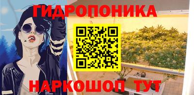 СК Сланцы