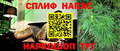 бошки Славгород