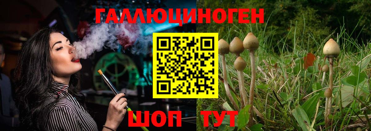 Галлюциногенные грибы Cubensis  Вход с VPN  хочу наркоту  Осинники 